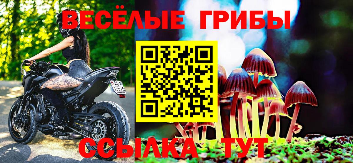 Псилоцибиновые грибы мицелий Чапаевск